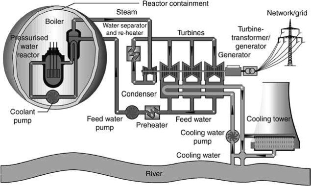 Pressurized water reactor model